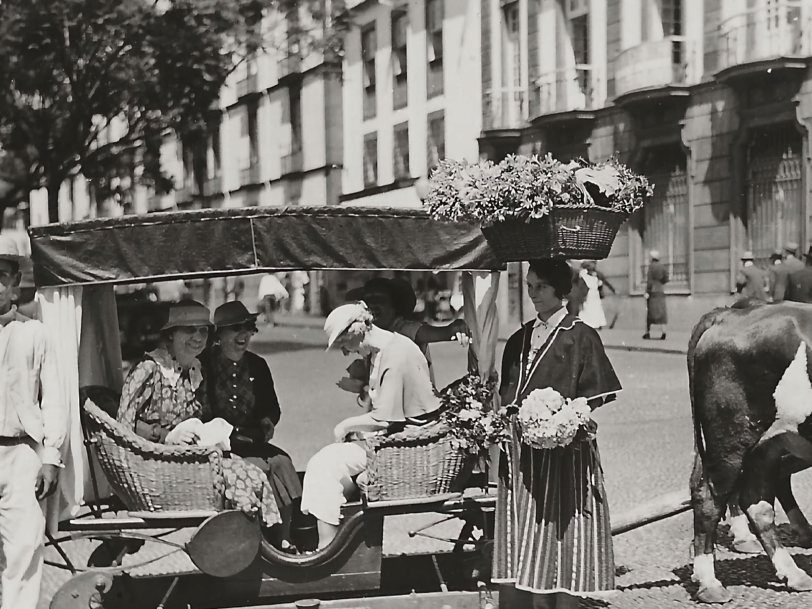 Vintage photograph of a Madeiran flower lady balancing a basket of flowers on her head, the inspiration for Marghab’s Flower Woman design​​​​​​​​​​​​​​​​
